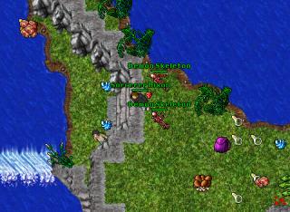 Sorcerer Dixon · 29 Mar 2006