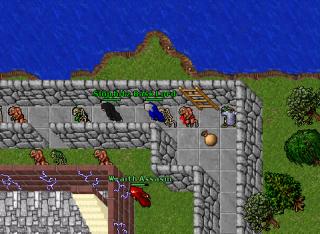 elvenbane quest