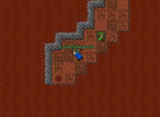 Venore dragon lair