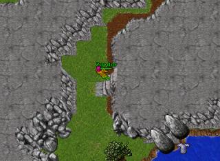 Zaydor Pking