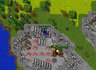 xev vs DL