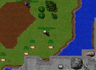 explorer quest