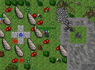 druidisland