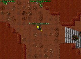 tarantula hell