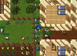 gwendu pking2 20026