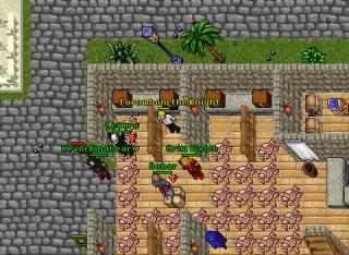 100 pigys busted 17277