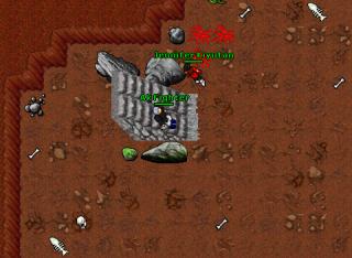 Hydra egg
