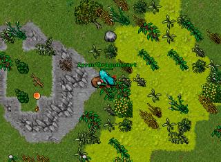 WITCH TRAP1 20331