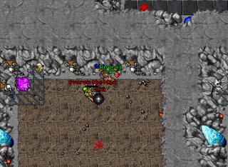 Devraj · Tibia 8.41