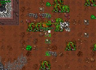 Snakoktee-163EK-UndeadDragonHunt