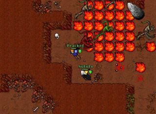 test 26252