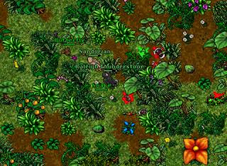 RT Exploring Tiquanda1