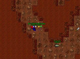 mogg ded 29593