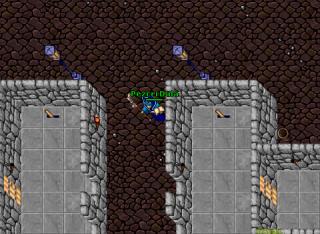 Pezcri Dala · Tibia 8.40