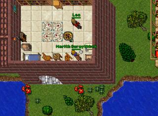 Rls Pking2 12487