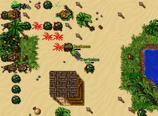 Tortoise Island 29080