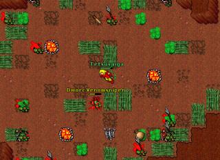 dwarc hunt