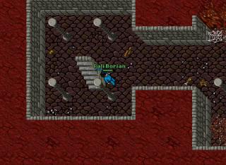 Cali Borian · Tibia 8.54
