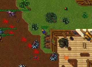 zyl quara attack 10460