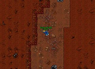 Gora Pall · Tibia 8.40