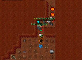 Rabster Marius · Tibia 7.60