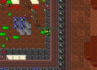 Elder bh