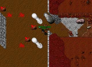 Hunt Rot Rally