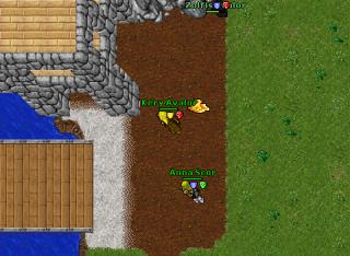 sunshineworld 30pal 30951