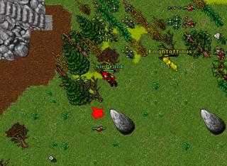 NON PVPTRAP2 20209