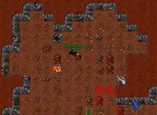 Botter 15479