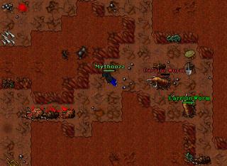 D016 Rots Venore
