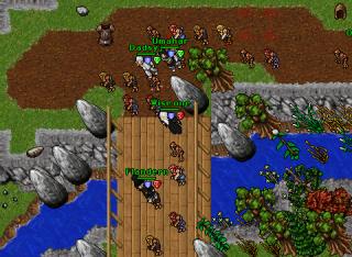 Wise one · Tibia 8.11