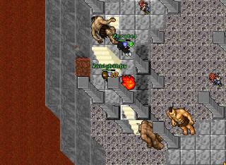 behequeststingaurea