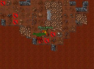 floris pking 11399