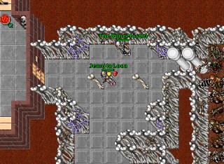 [Lucera] Necro Shield