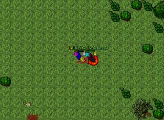 Born Dead PK IV