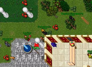 feniz goes pk