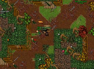 bot down honera+muita sorte no loot