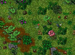 Jungle Wizo Mannen sneak
