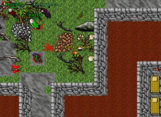 djinn quest