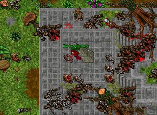 Rotos Dotos · Tibia 8.20