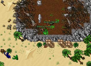 Silver Toad · Tibia 8.41