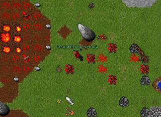 Testpvp