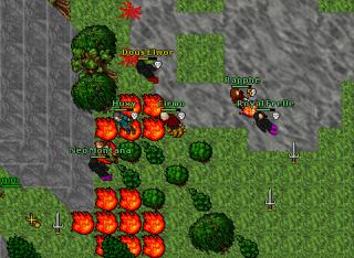 sneak sheilon