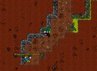 09majVenoreDLAIR
