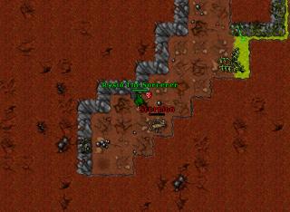 Rysio pking 6 24189