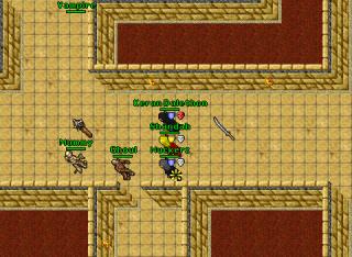 order of warriors 25022