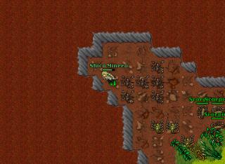 Shico minero Hunt fast Rp