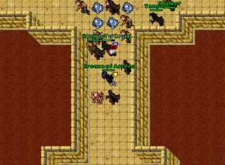 ED102 Mountain Tomb