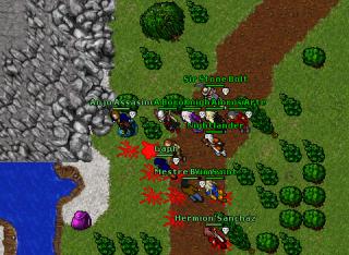 Last'Raven Owned